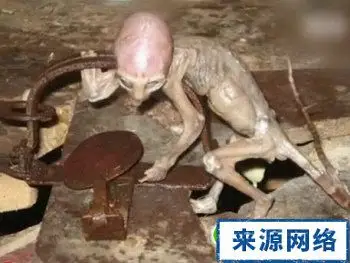 科学家检测不出dna 外星人宝宝真的来自宇宙?