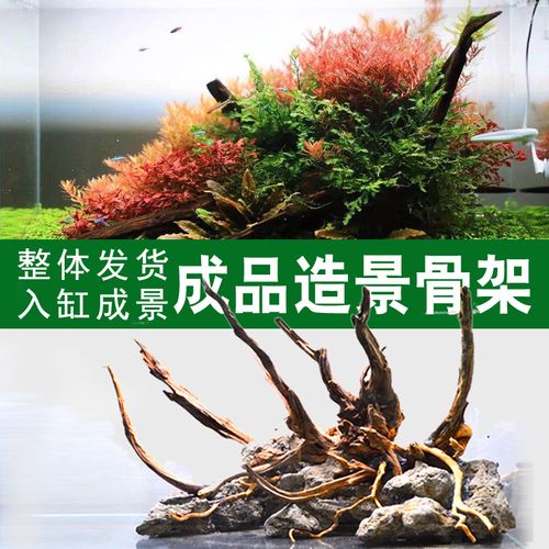 吉景佳水族超白鱼缸造景青龙石造景天然水草缸造景沉木造景杜鹃根