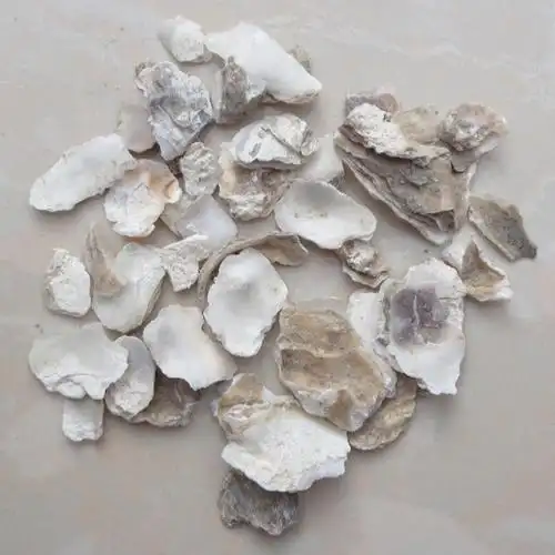 中药材批发 牡蛎 牡蛎壳 生牡蛎 生牡蛎壳 大货