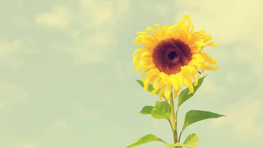 时光流转 | 原来你还在这里