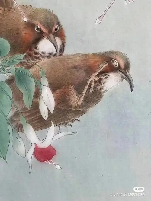 麻雀和鸟工笔素材