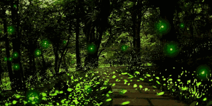 441_220gif 动态图 动图