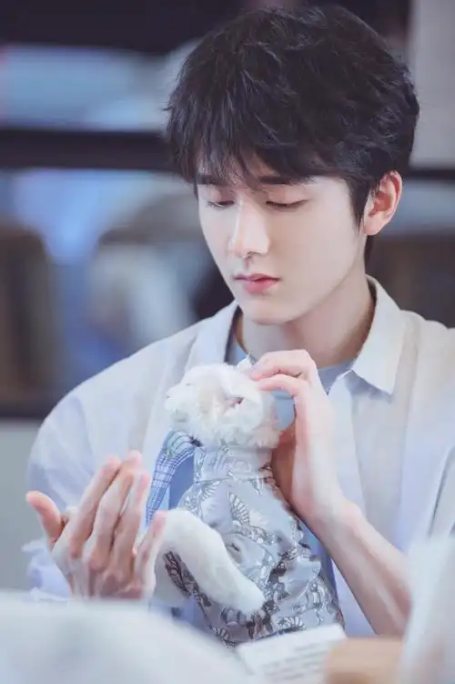 张新成! - 堆糖,美图壁纸兴趣社区