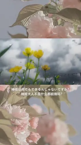 神明大人 救救我_麓谷自由行热门攻略_日语_学习_日语学习_教育_外语