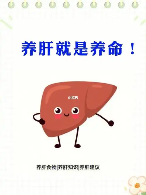 养肝护肝的8个小妙招