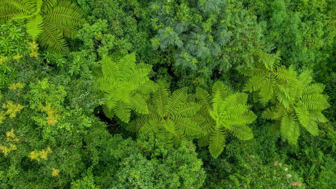 我觉得可以当护眼壁纸了.#我的摄影日记 #山野自然 #收藏夏 - 抖音