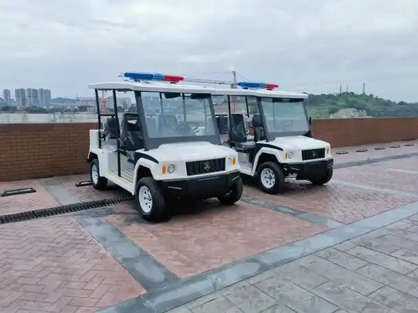 特种警用电动巡逻车,安全环保,警界实力担当