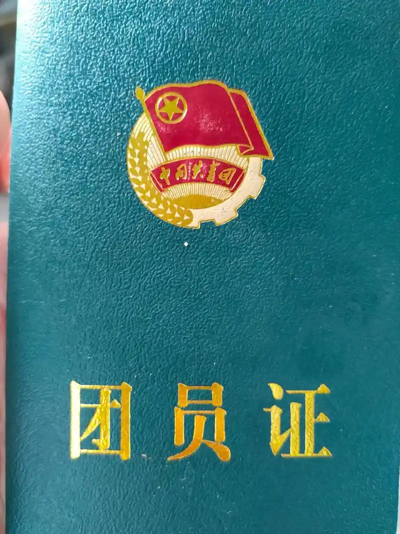 儿子初三入的团,团员证一直由学校保管毕业了要转入高中,很庆幸 - 抖