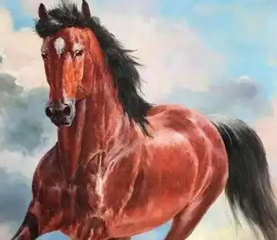 【新趣】日行千里,夜行八百 古代汗血宝马到底有多快