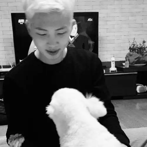 金南俊dailylook##金南俊ins