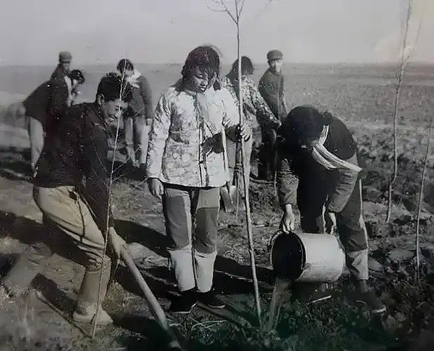 上世纪60年代的农村,是一个物质匮乏,生活困苦的时代.