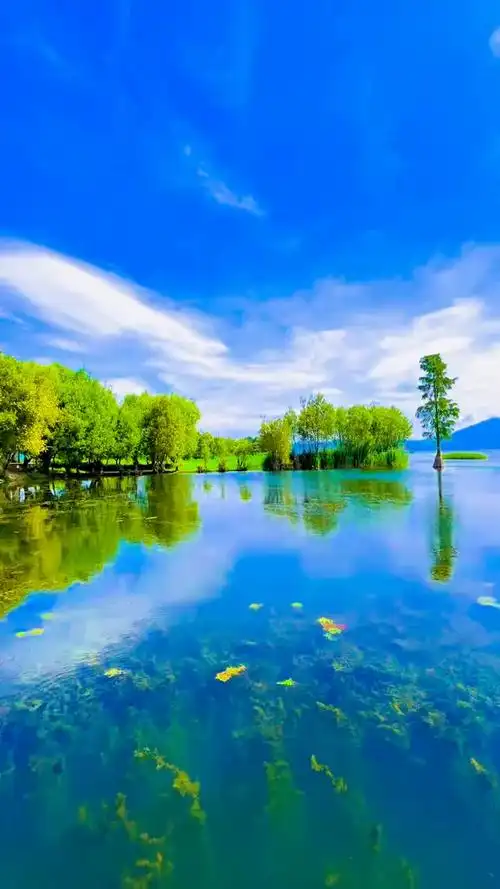 人间一趟积极向上不念过往不畏将来