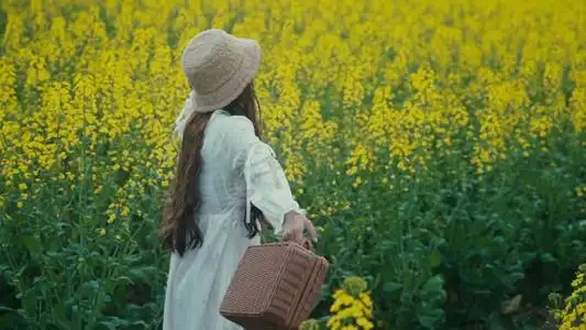 春天油菜花海中游玩的少女背影