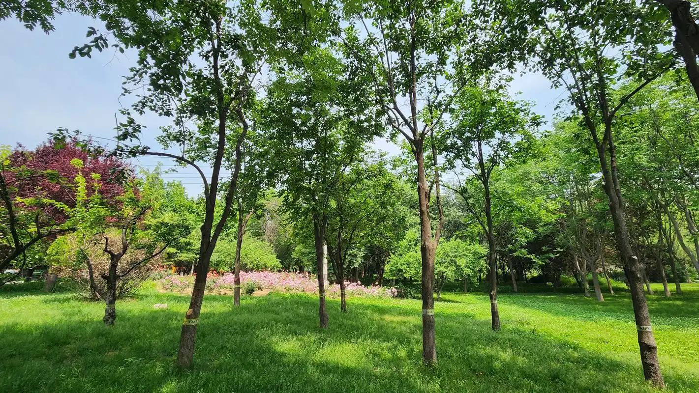 石家庄市石太公园