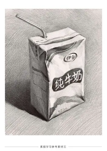 素描静物单个和静物组合