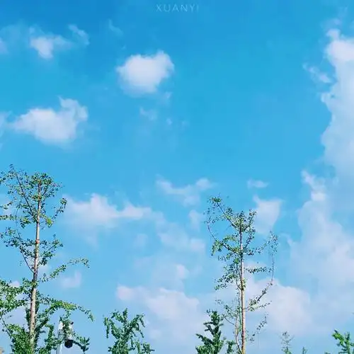 天空无一物,亦能容万物" "原创·自拍" 天空·背景图