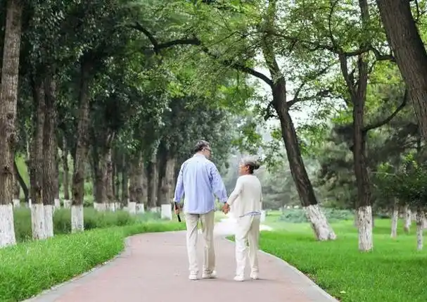 多散步真的对血管好吗?医生直言:过了50,坚持3件事或比运动好