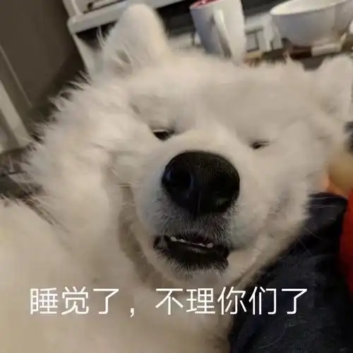 萌宠汪星人睡觉了不理你们了呆萌可爱gif动图_动态图_表情包下载_soo