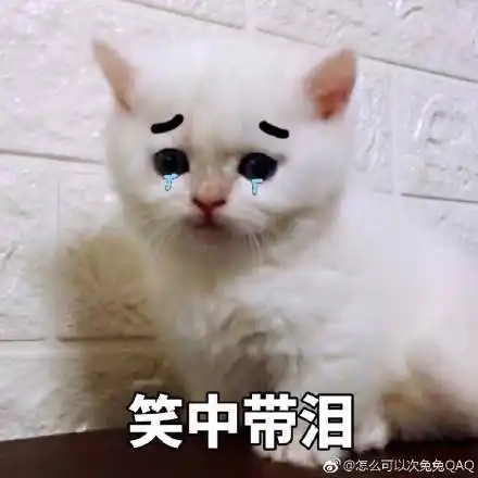 猫咪表情包:你开心就好