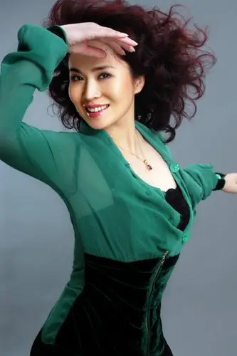 才貌压倒群芳的著名主持人 田歌