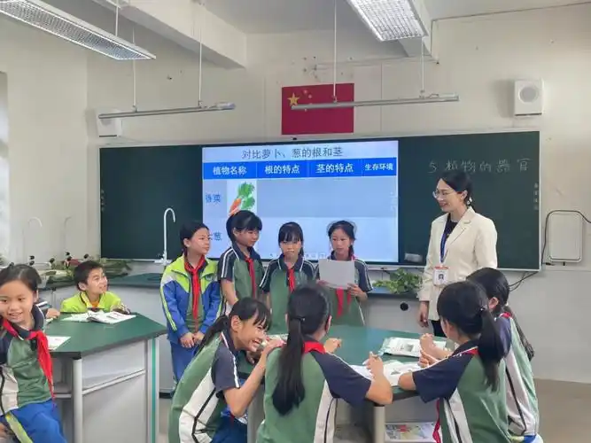 东兴市实验小学教育集团开展教研活动