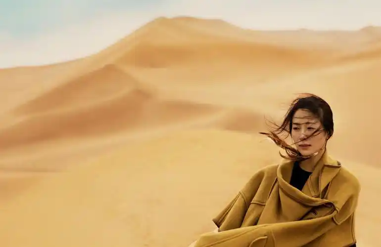 p> a href="#" data-lemmaid="10870219">江一燕 /a>个人专辑《我们