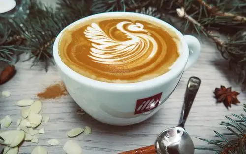 咖啡,卡布奇诺咖啡,汤匙,松树枝
