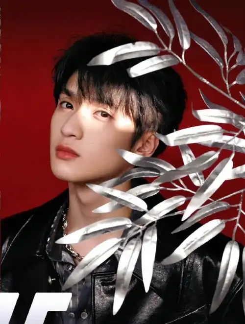 漂亮的小孩不应该不被看到严浩翔就应该在绚烂的地方闪闪发光不限圈