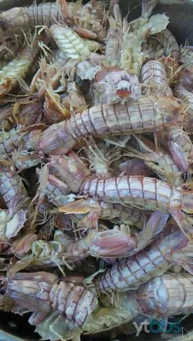 春天的爬虾肥,鲜香味美,现在吃正是好时候