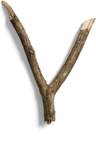 树干树枝卡通图片大全