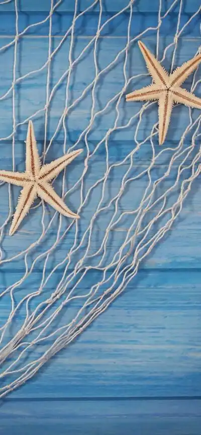 iphonex/xs/maxs风景静物系列壁纸