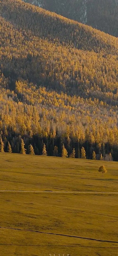 大自然秋日风景手机壁纸