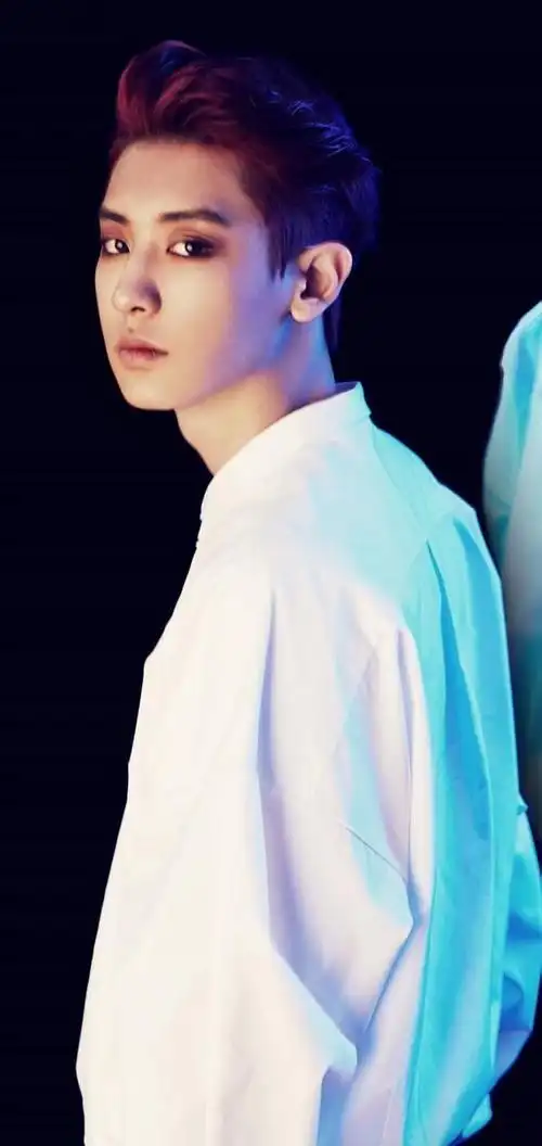 谁有这张exo上瘾的单人照?