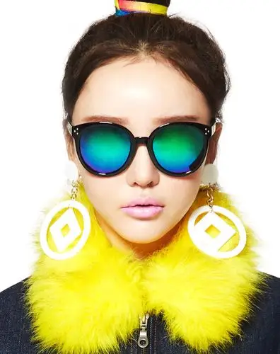 偏光时尚墨镜圆形大框太阳镜