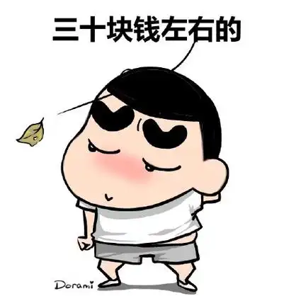 三十块钱左右的 - 本宝宝快冻死了,求推荐冬装!