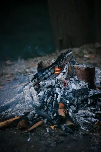 生活美学摄影 野外