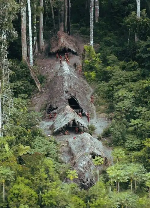 亚马逊丛林原始人光天化日用弓箭打飞机网友无知真的很可怕
