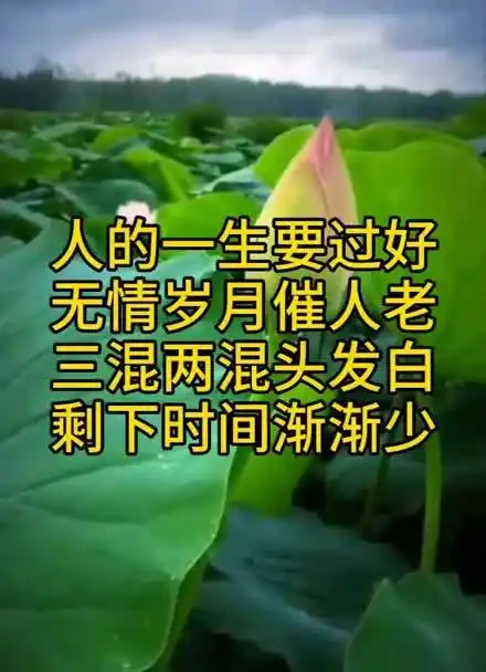人的一生要过好,无情岁月催人老