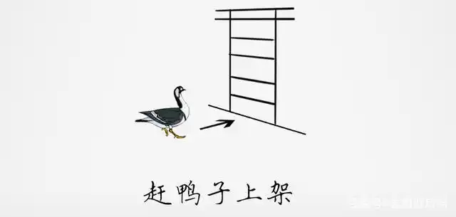 看图歇后语你猜出几个了是第七期