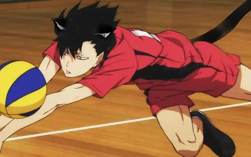 眯着他的双眼!黑尾猫!踮着他的脚尖!