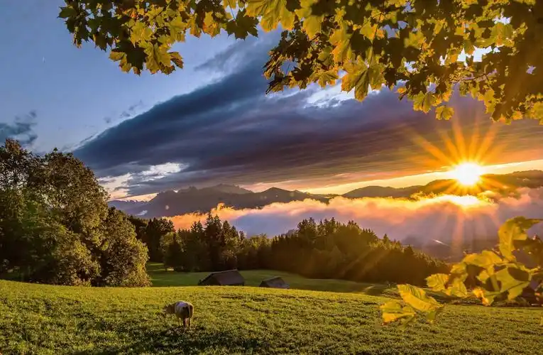 自然,夏天,山,丘陵,树木,牧场,树枝,叶子,太阳,光线高清原图下载