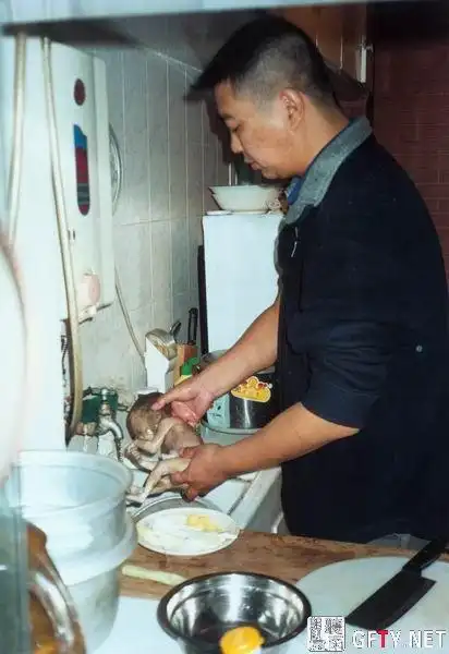 胆小者,心脏病者,请勿入,人吃人~~~我睇左想呕啊!