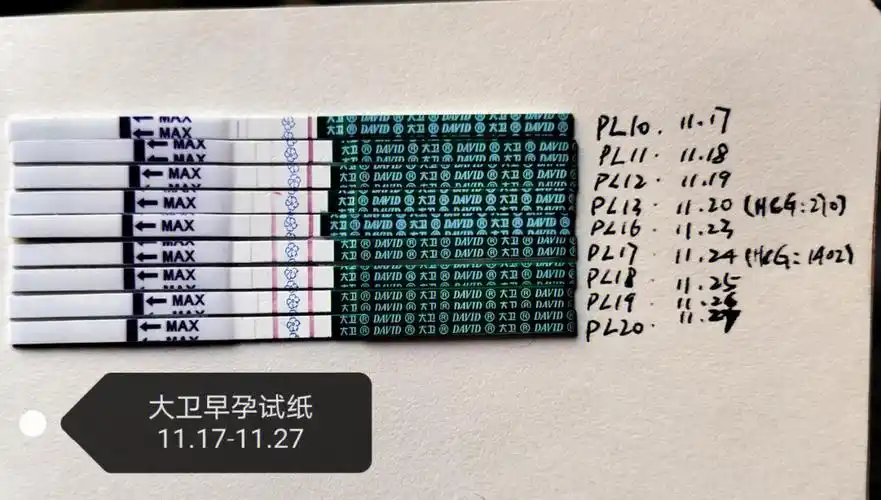 大卫早孕试纸这两天已经强阳毕业了哦
