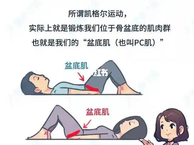产后盆底肌锻炼准妈宝妈必看