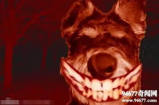 微笑的狗恐怖原图,看过smile.dog的人都被吓死了