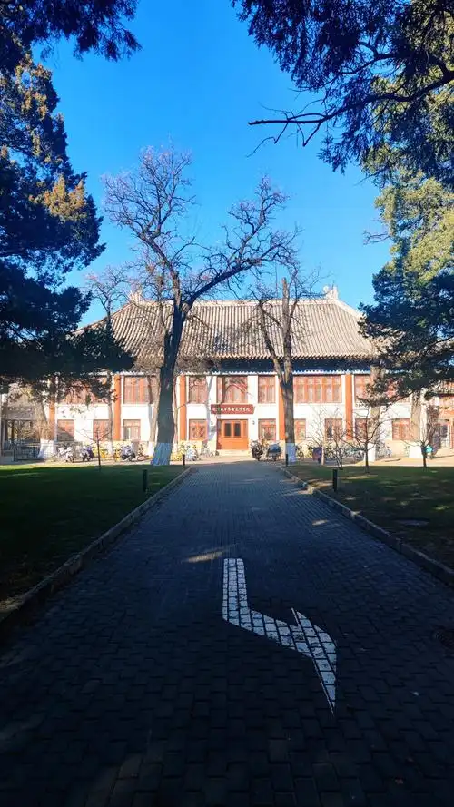 北京大学院内一景