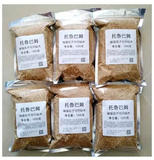 京丰嫁接茄子砧木种子托鲁巴姆野生茄子砧木种籽耐病出芽率高5克托鲁