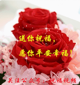 340_362gif 动态图 动图