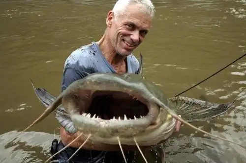世界十大最危险的鱼 食人鱼居然没进前三