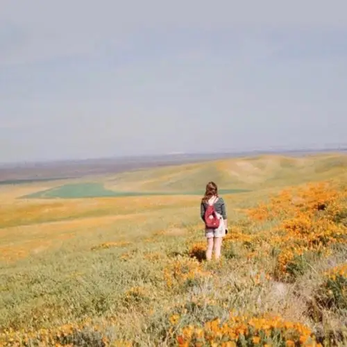 女生头像/蓝色/绿色-自截